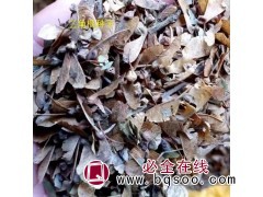 现货供应三角枫种子 产地三角枫种子价格 内蒙古鑫种源林木种子图1