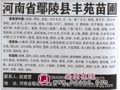 桧柏苗 绿化桧柏 桧柏占地苗 河南苗木网 桧柏小苗 丰苑苗木图1