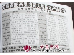 3-20公分红叶李 红叶李价格 安徽红叶李 红叶李苗木基地图1