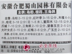 乌桕2-15公分、乌桕树价格 安徽苗木 乌桕工程树 蜀山园林图1