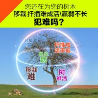 大树营养液 古树复活营养液 生根发芽营养液 工程大树营养液