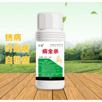 苗木锈病防治液 全歌树木白粉病防治药 叶斑病防治药 林元素