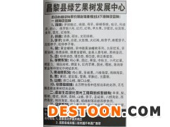 专供樱桃苗 河北果树网 昌黎全系列樱桃苗 樱桃苗批发图1