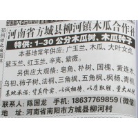 1-30公分木瓜树 木瓜种子 河南苗木网 木瓜合作社 南阳