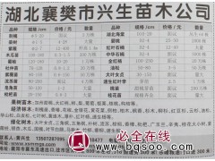 5-20公分刺槐树 湖北刺槐价格 刺槐基地 兴生苗木公司图1