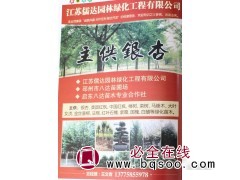 专供银杏树 江苏银杏价格表 儒达园林 江苏苗木网 银杏行道树图1