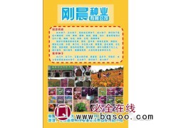 宿根花卉种子批发 白三叶 红三叶种子供应 刚晨种业 花卉种子图1