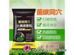 蔬菜水果苗木提质增效生根壮根抗重茬改良土壤有机肥厂家 地康图2