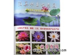 专业生产荷花 睡莲 蓝花苗 水生花卉 东北苗木网 泊美苗木图1