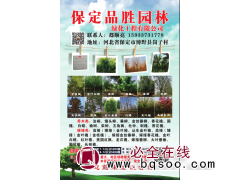 老白蜡造景树 园林绿化白蜡树 河北白蜡 品胜园林 老白蜡图1