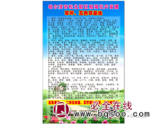 百万平美国优异草坪系列现货供应 东北草坪价格 相海花卉图1