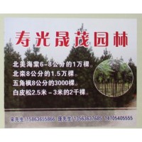 北美海棠6-8公分的1万棵@寿光晟茂园林@山东苗木网