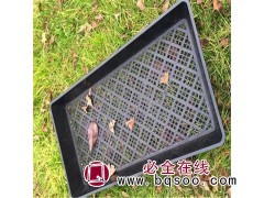 育苗平盘/托盘育苗盘/芽菜盘/育苗盘/长方形育苗盘/一然塑料图1