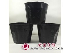 大小营养钵批发@营养钵定制@营养钵厂家@浩兴育苗容器厂图1
