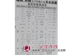 2-4公分榉树小苗@榉树价格@浙江花木网@天水苗圃图1