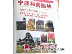 浙江花木网@和谐园林@羽毛枫大树@羽毛枫价格@羽毛枫图1