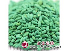 黑麦草草种/黑麦草种子/黑麦草草籽图1