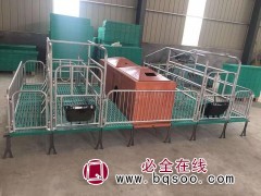 全复合母猪双体产床 分娩床誉嘉出售图1