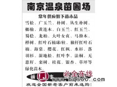 南京蜀桧 规格全 品质优 蜀桧全国配送 南京温泉苗圃场 蜀桧图1