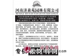 中原楸树联盟@济森苑园林@专营各种规格楸树@速生楸树@梓树图1