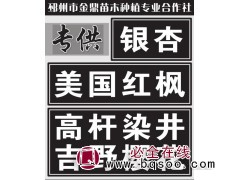 日本吉野樱花_规格齐全_报价 染井吉野樱 邳州樱花 金鼎苗木图1