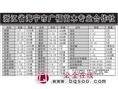 海宁苗木 1-10公分朴树 浙江花木城 广福苗木合作社 朴树图1
