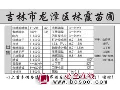 林霞苗圃经营红叶榆叶梅1-2米@吉林苗木网@红叶榆叶梅小苗图1