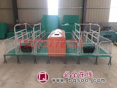 全复合母猪双体产床 猪用床现货出售图1