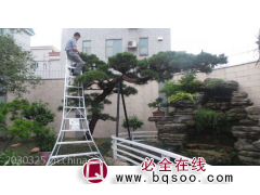 厂家批发直销 10阶3米农艺三角梯 园艺三脚梯 园林修枝梯图1