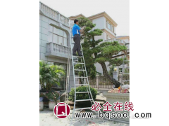 园林修枝梯图1