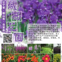 鞍山宿根花卉批发-鞍山宿根花卉-城西花圃专营各种宿根花卉钵苗