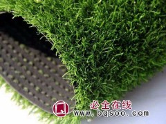 河北万域人造草坪有限公司 运动跑道人造草坪,草坪,草坪灯图1