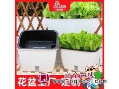 大号塑料懒人种菜盆 双层花盆 草莓生菜花盆 深圳科农园艺图1