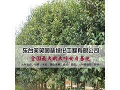 江苏东台笑笑园林绿化工程有限公司网站正式开通
