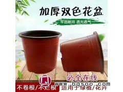 大量现货双色盆批发 双色盆生产厂家，向辉育苗容器制品厂图1