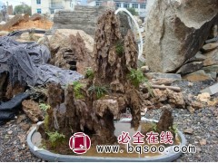 小盆景石-小盆景石批发、徐州树石盆景批发 江苏盆景石批发图1