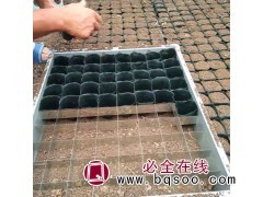 营养钵装土器图1