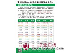 10万棵红叶石楠小杯苗 常州橡树中山杉碧根果培育专业合作社图1