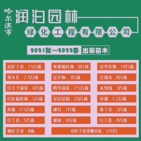 2021秋～2022春出圃苗木小叶丁香15万株 润泊园林