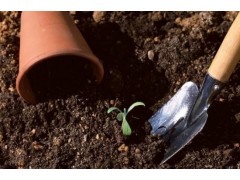 园林苗圃地土壤消毒常用比例