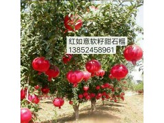 石榴