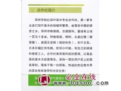150亩海棠现货供应 邳州海棠价格 秋红彩叶苗木专业合作社图1