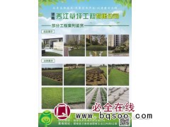 草坪施工-足球场施工-体育场地施工-秀江草坪工程有限公司图1