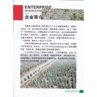 紫薇花瓶造型树 紫薇花瓶树基地 安徽明大园林景观工程有限公司