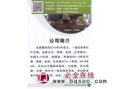 红叶石楠小苗 红叶石楠基地 来安华东国际园林城 来安山水园林图1