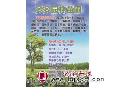 五角枫胸径6-12公分 多多园林苗圃 本溪五角枫价格表图1