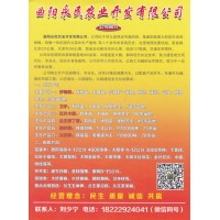 60亩沙地柏苗，沙地柏杯苗 沙地柏大田苗 曲阳永民农业