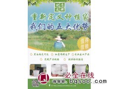 连云港市赣榆区美植袋厂家供应黑白美植袋、植树袋图1