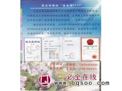 新品种楸树“金丝楸0432” 太康县茂田楸树种植专业合作社图1