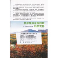 美国蓝杉,日本红枫系列,玉兰系列-日照金枫园林科技有限公司